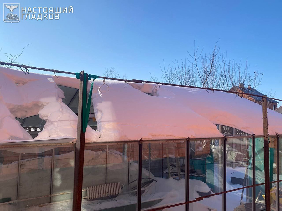 Фото: vvgladkov / Telegram