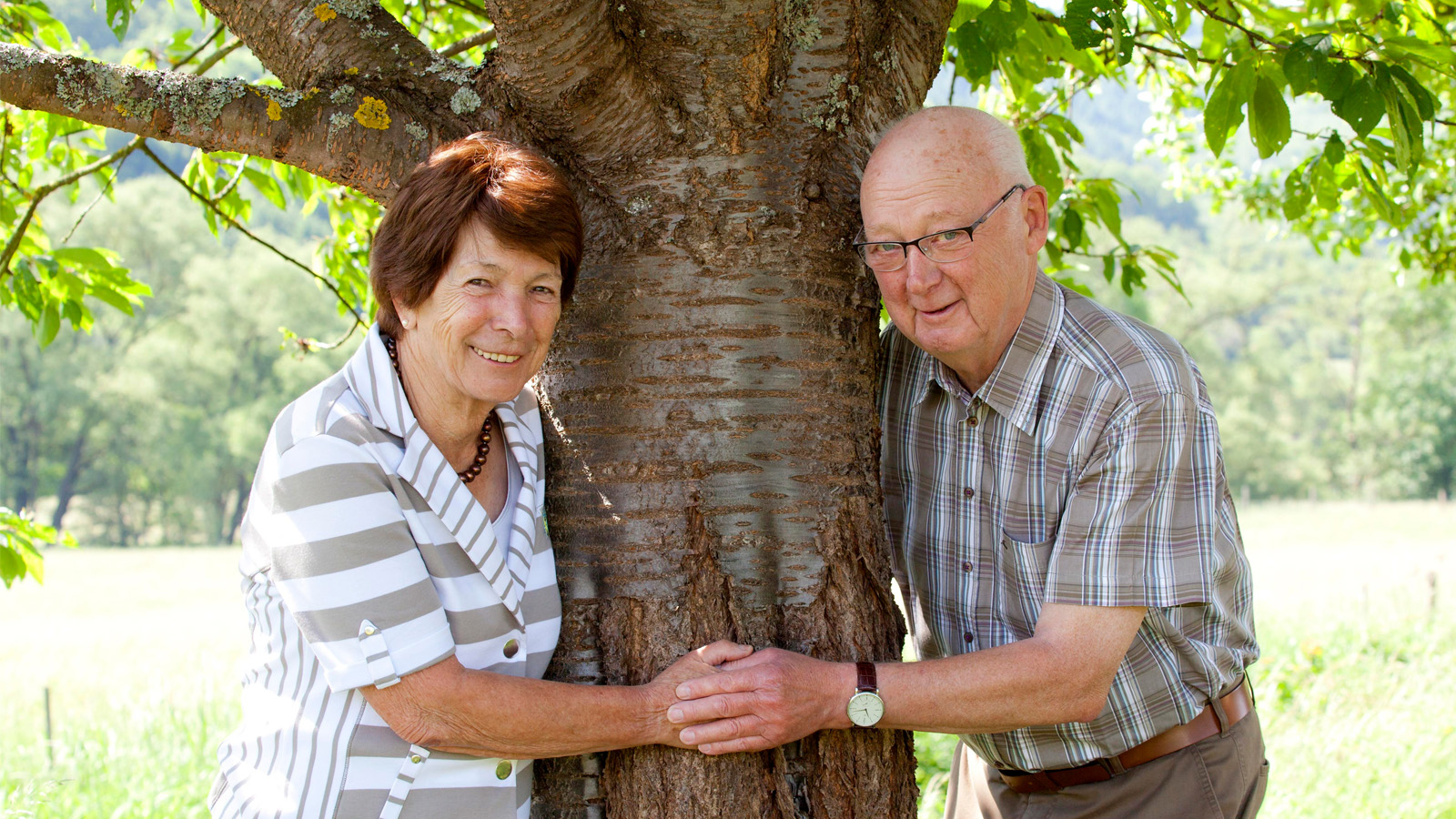 Выплаты за долгий брак: кому полагаются за 50 и более лет брака