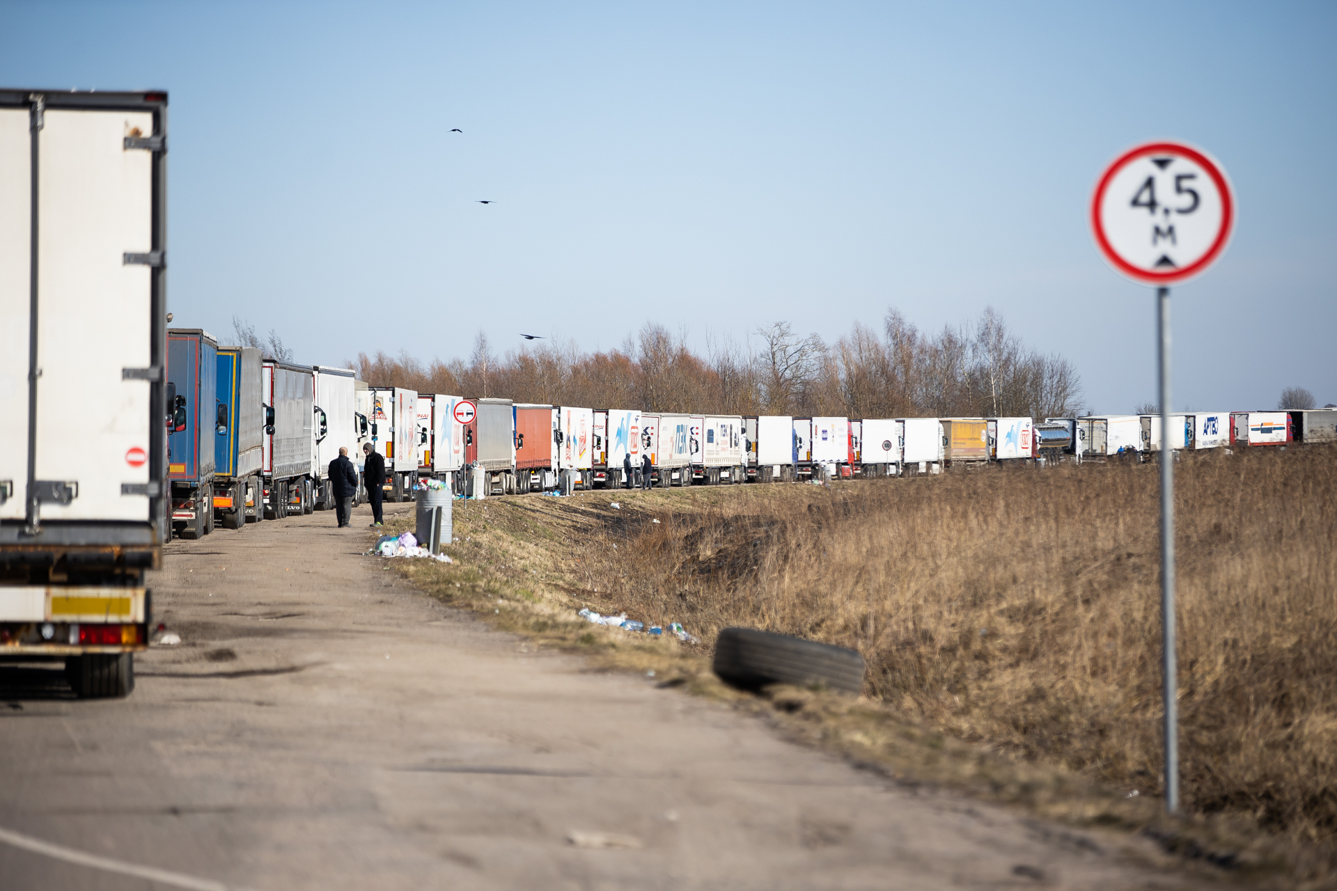 Фото: Александр Подгорчук