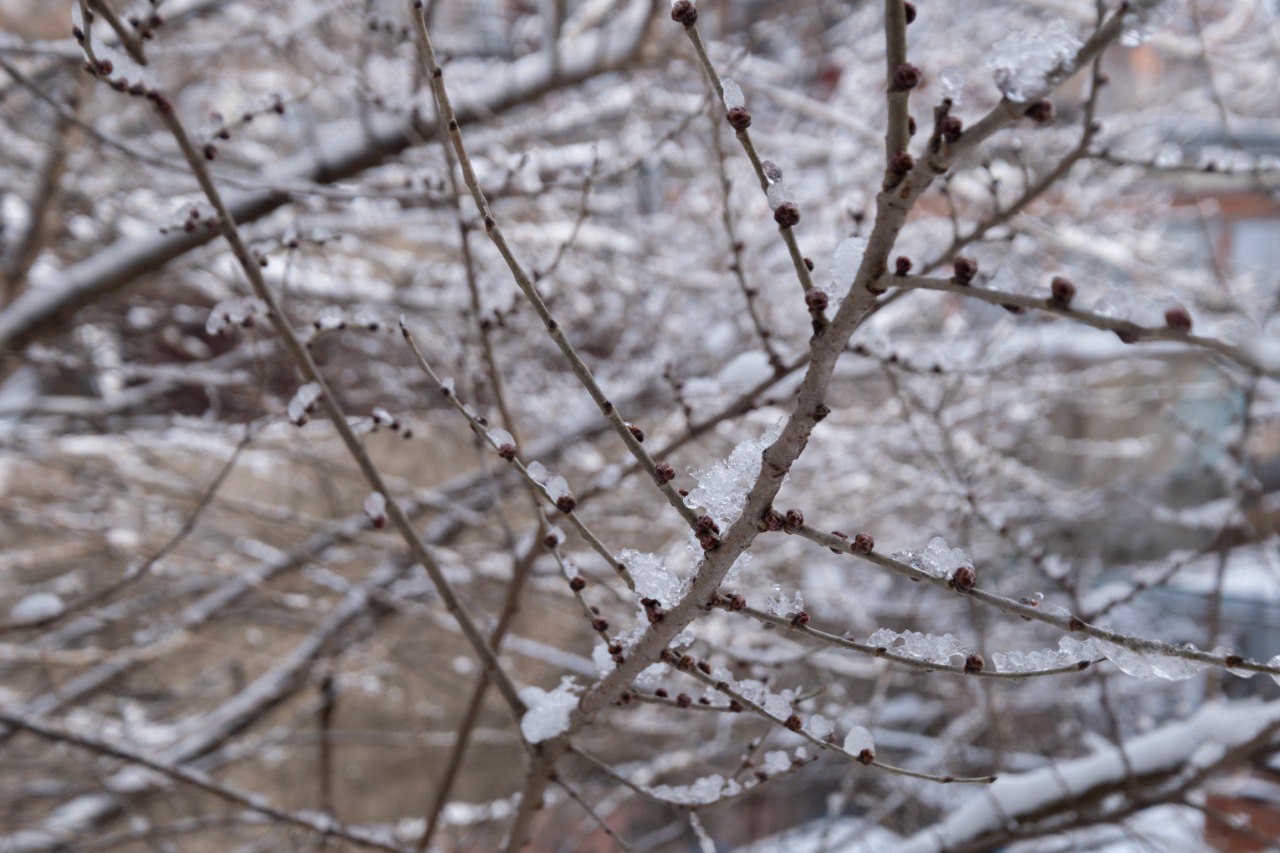 Фото: РБК Приморье