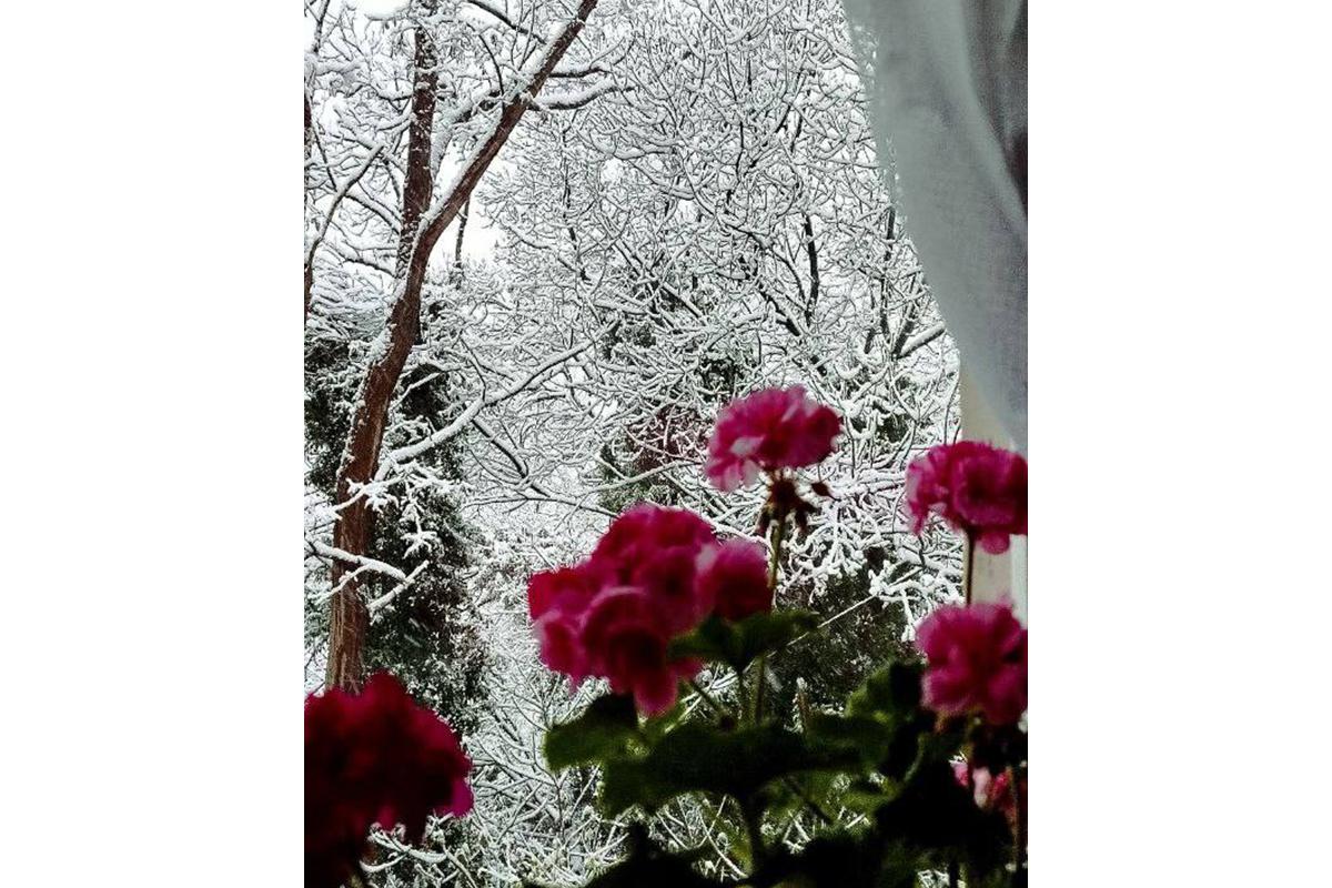 Cнегопад в Большой Ялте, 29 декабря 2025 года