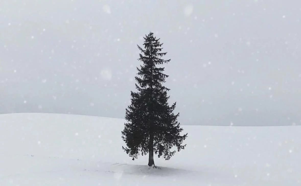 Seoyeon Choi / Unsplash