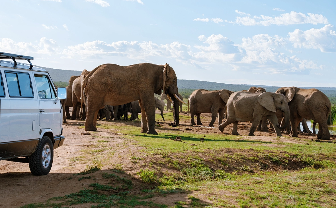 fokke baarssen / Shutterstock