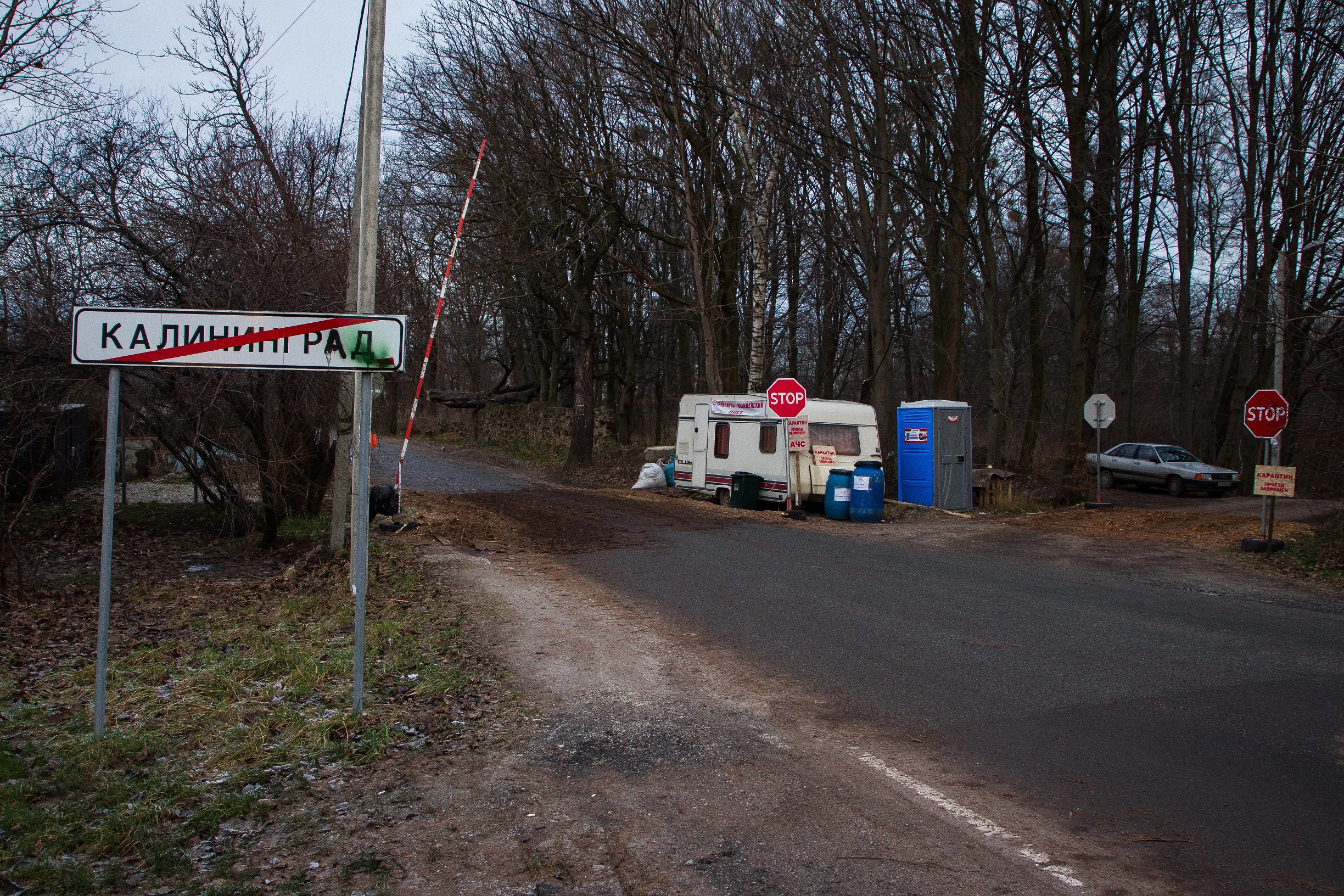 Александр Подгорчук