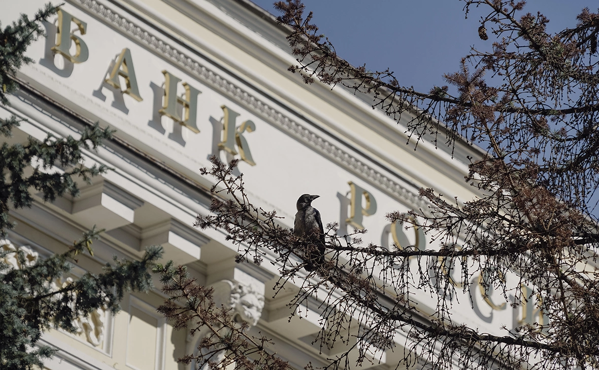 Михаил Гребенщиков / РБК