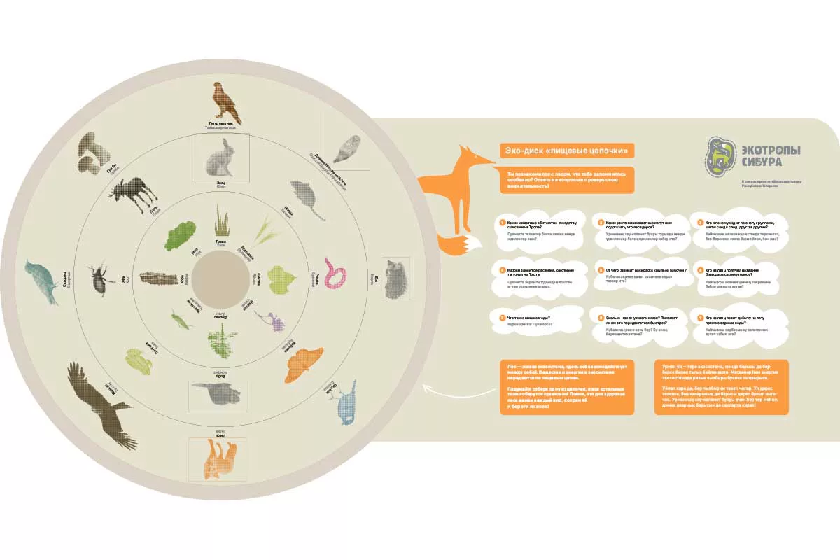 На маршруте появится новая точка — «Экодиск «Пищевые цепочки», где можно будет узнать о взаимосвязи живых существ в природе