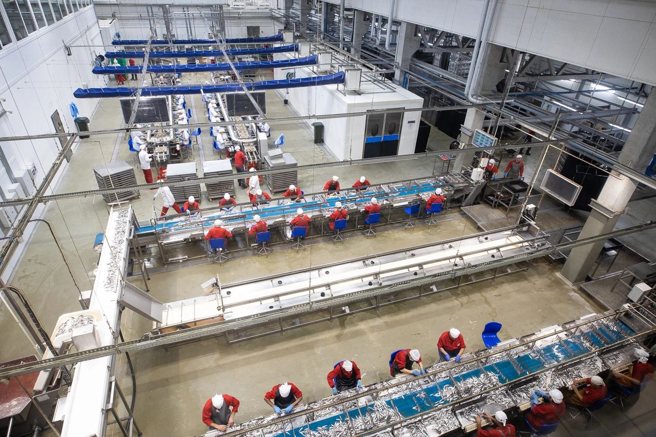 Александр Подгорчук