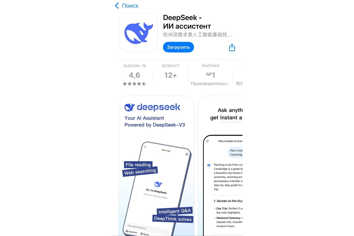 DeepSeek