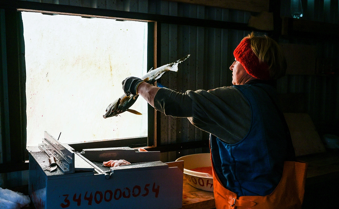 Юрий Смитюк / ТАСС