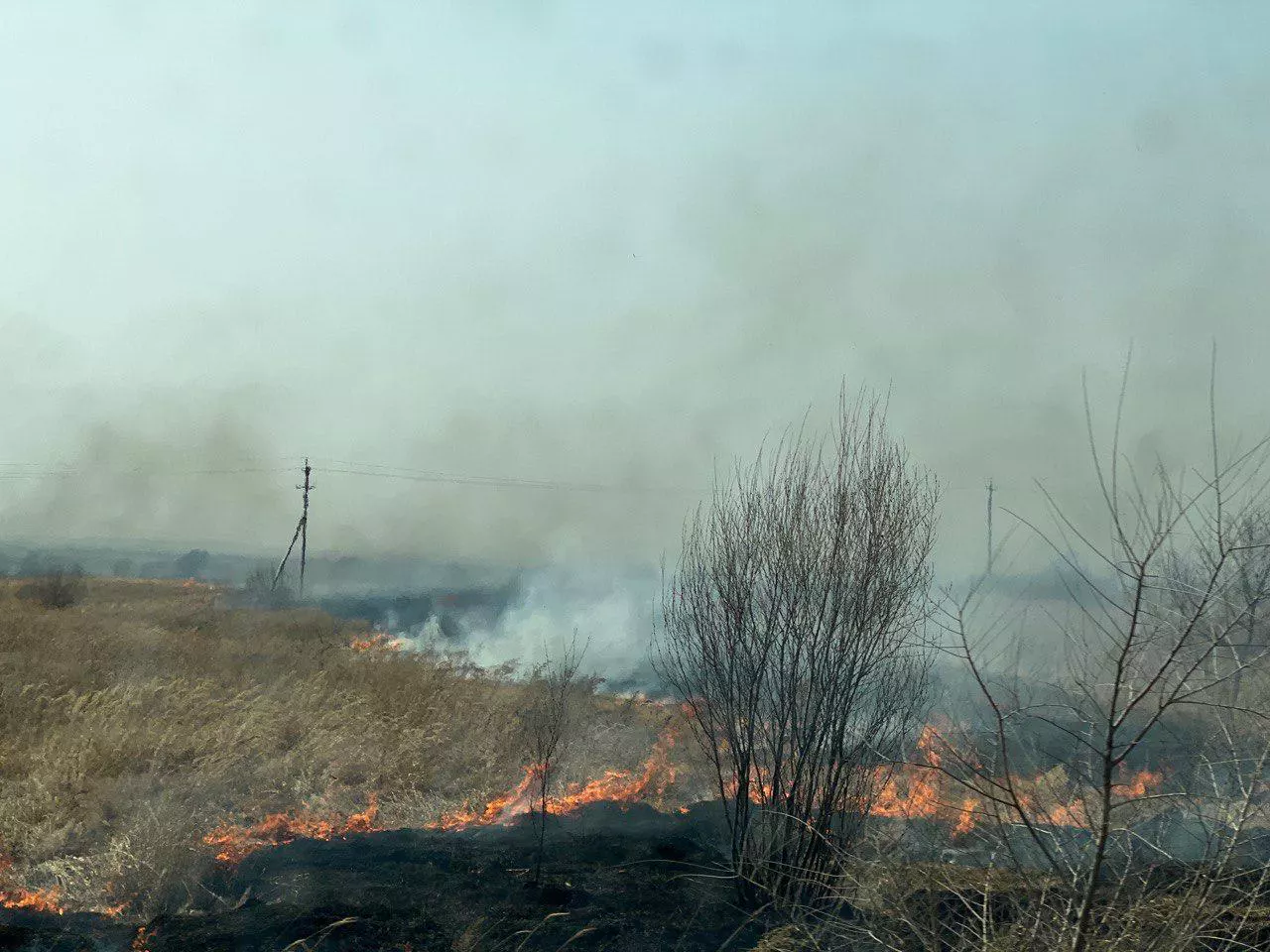 РБК Приморье