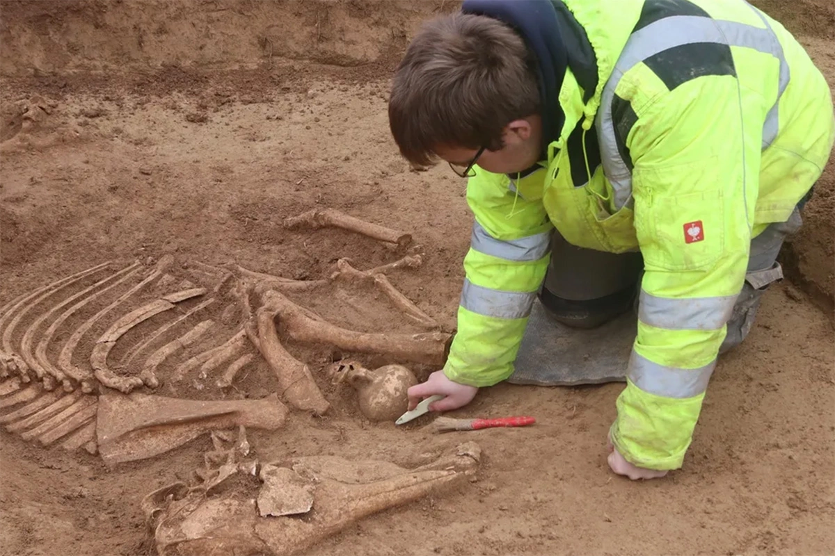 1800-летнее древнеримское кладбище лошадей в Германии