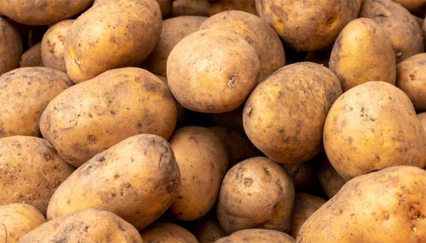 Фото: ru.freepik.com, k_samurkas