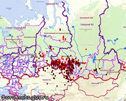 Площадь лесных пожаров в России выросла в 1,5 раза