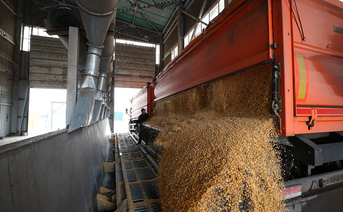 Егор Алеев / ТАСС