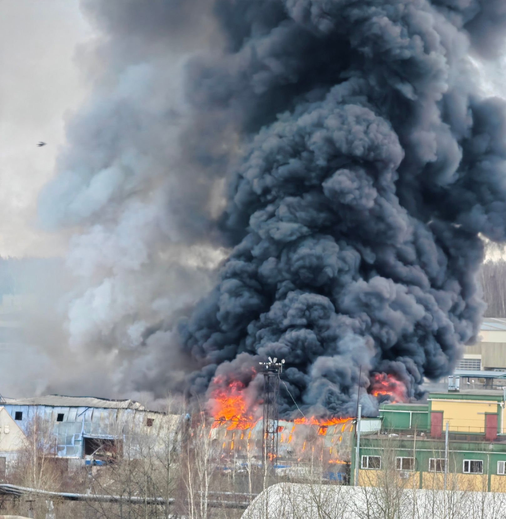 Пожар в промзоне под Петербургом достиг площади в 1000 кв. метров. Фото —  РБК