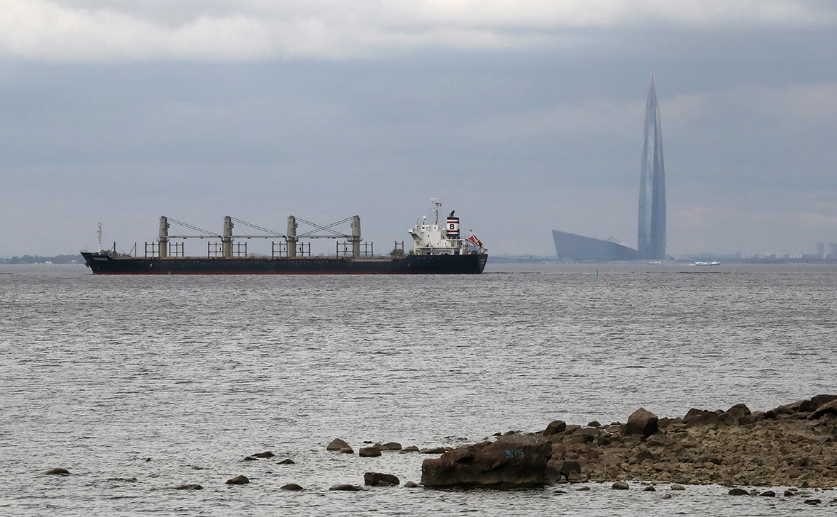 Анатолий Мальцев / EPA / ТАСС