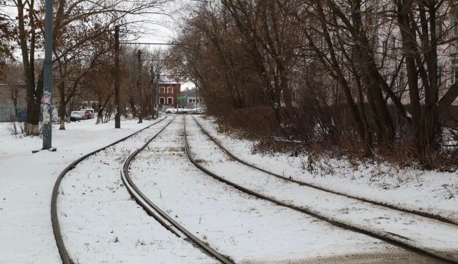 Фото: ОО «Экологические проекты» 