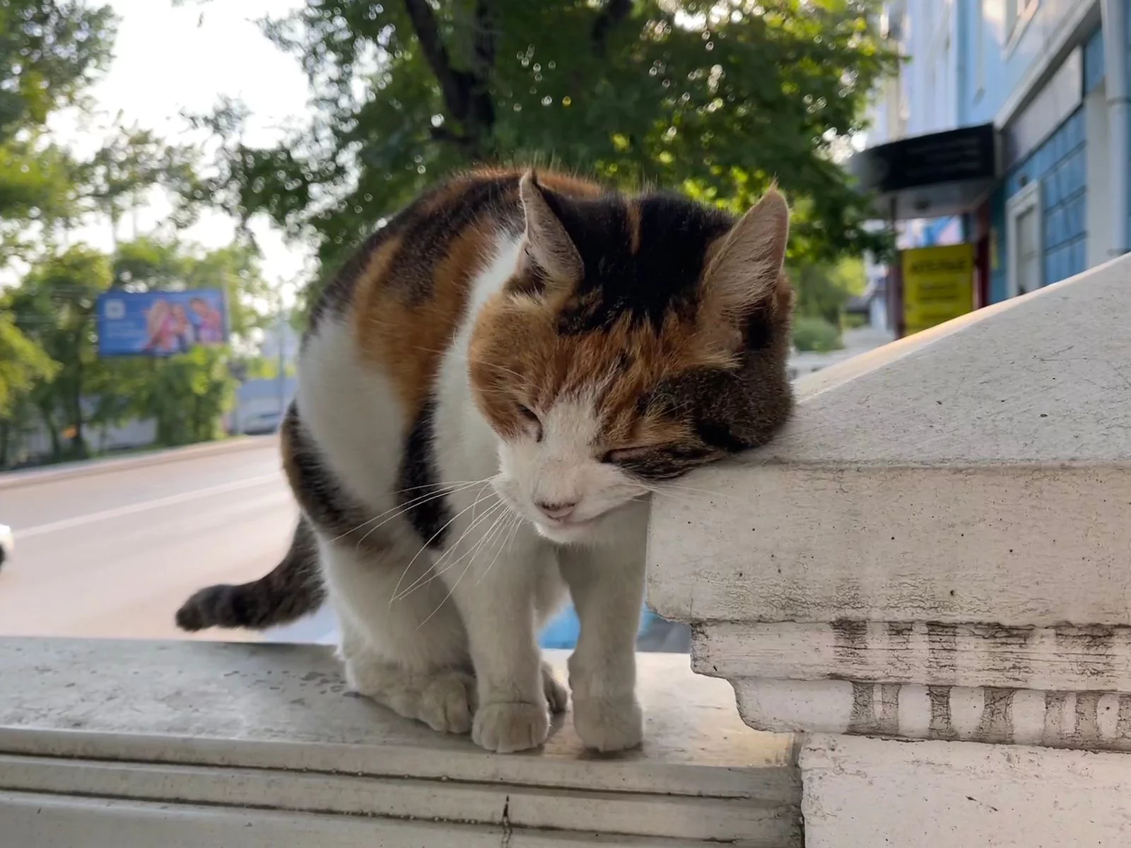 РБК Приморье