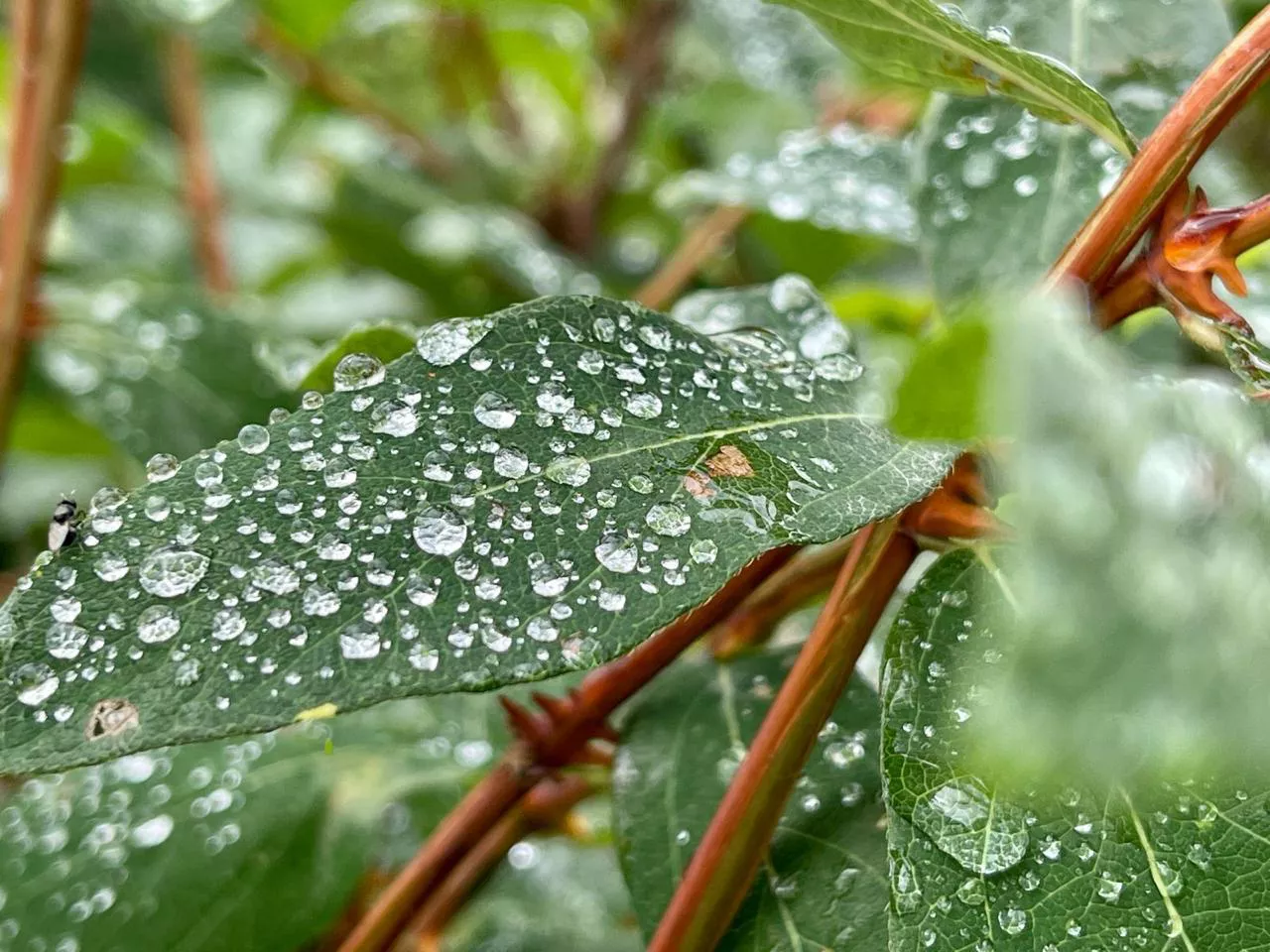 РБК Приморье