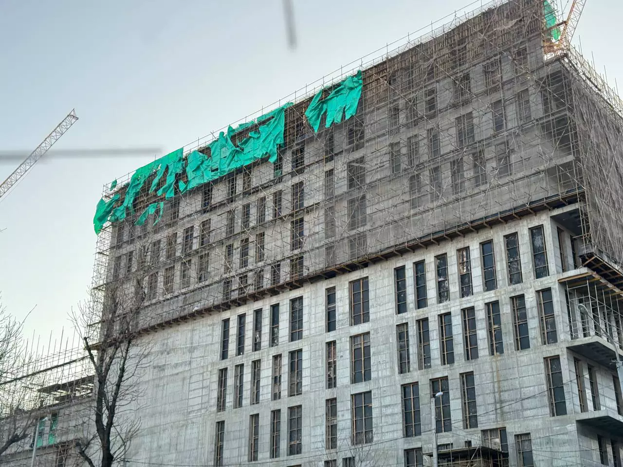 РБК Приморье