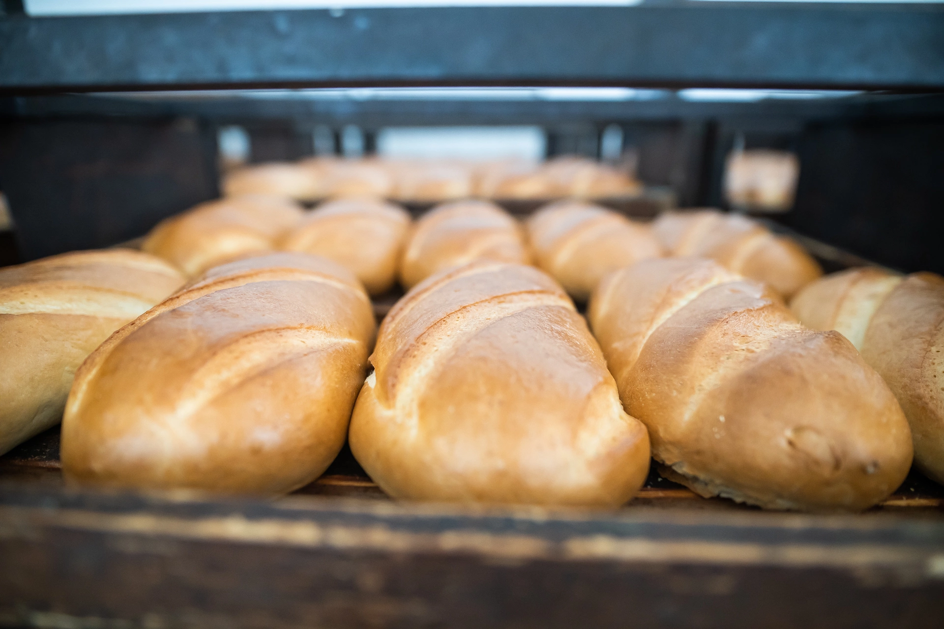 Александр Подгорчук