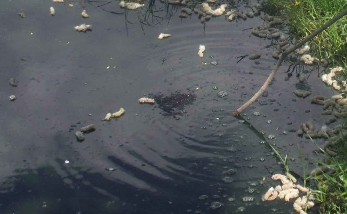 РБК Черноземье