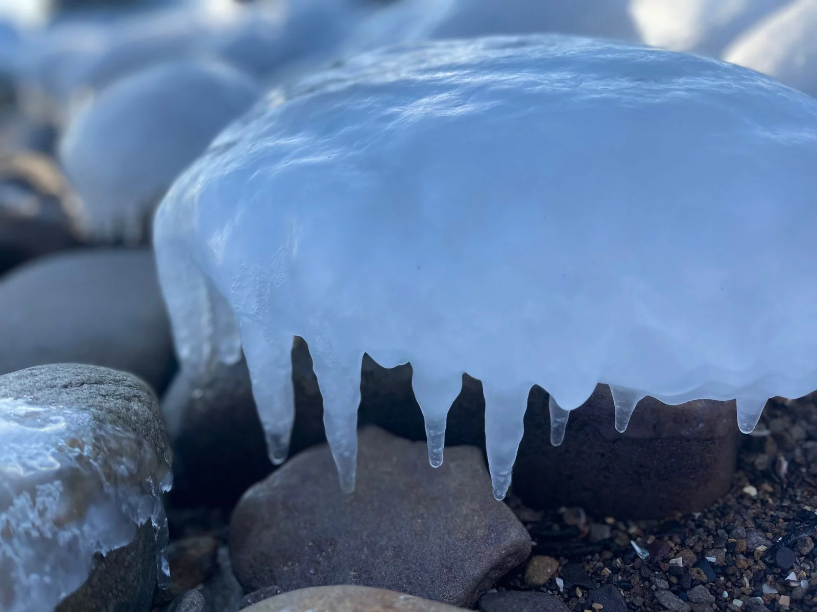 РБК Приморье