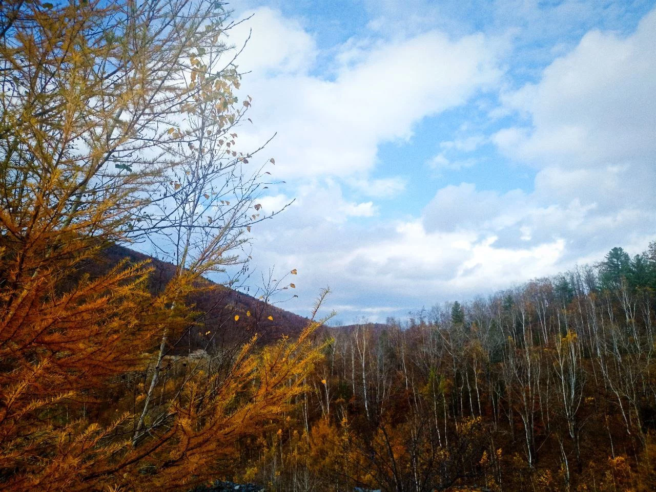 РБК Приморье