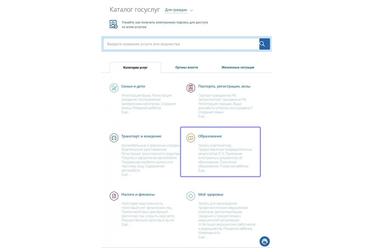 Страница поиска услуг на портале госуслуг