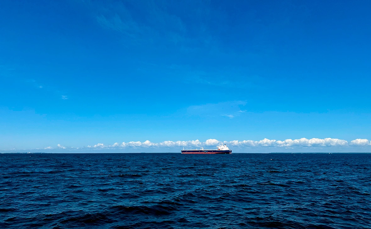 Дарья Широкова / РБК