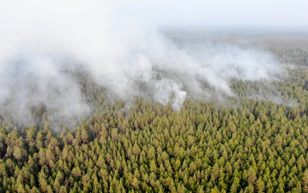 Власти Ухты ввели режим ЧС из-за лесных пожаров