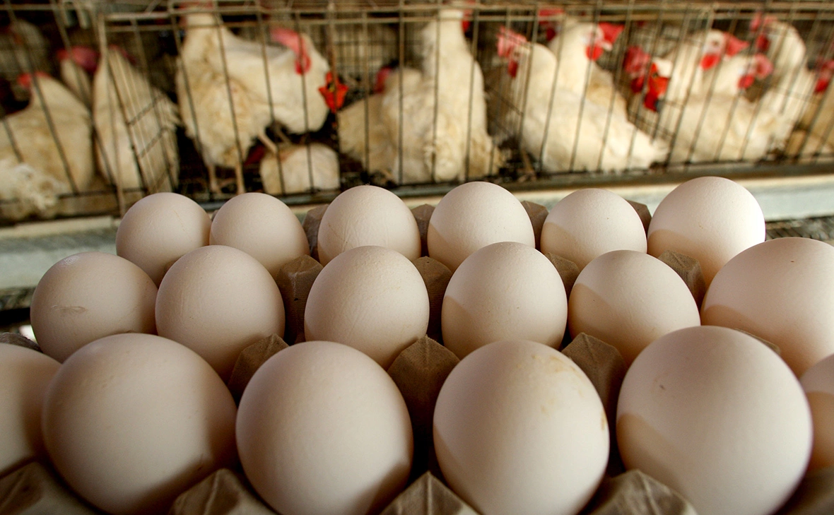 David Silverman / Getty Images