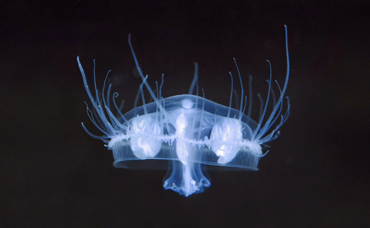 imago stock&people / Global Look Press