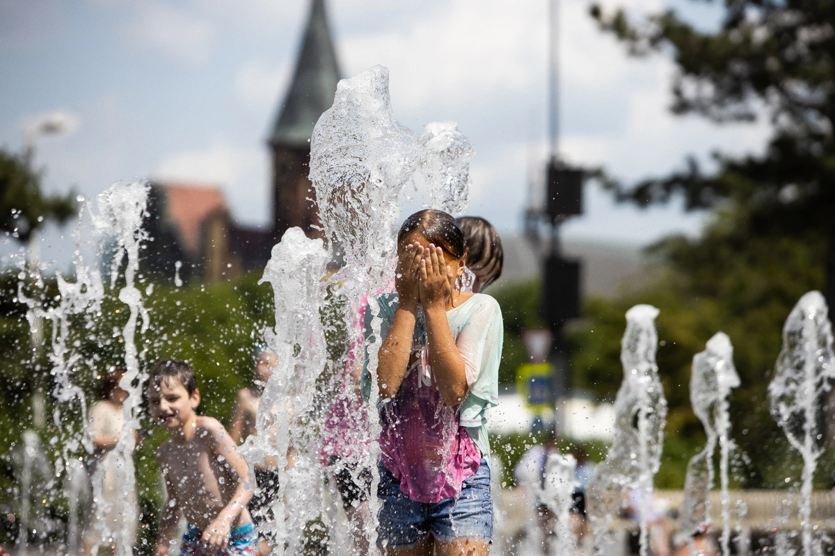 Александр Подгорчук