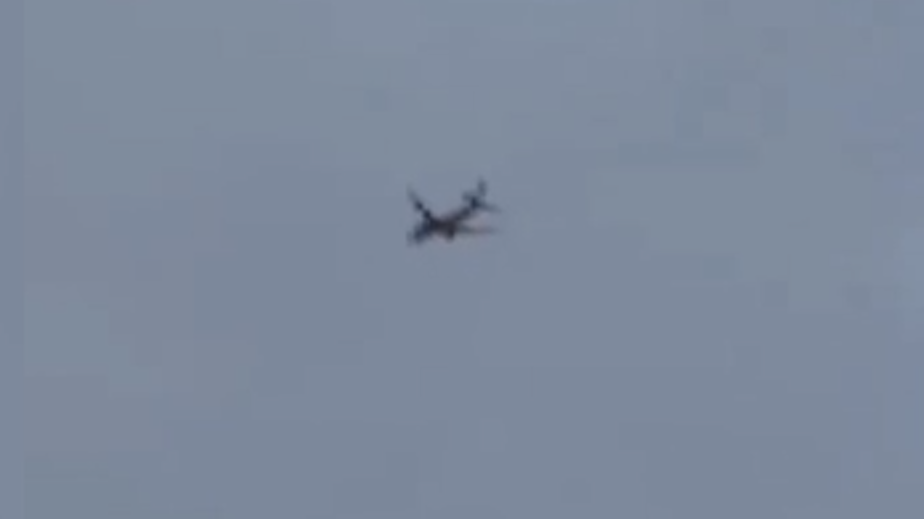 У самолета в США загорелся двигатель в полете из-за кролика