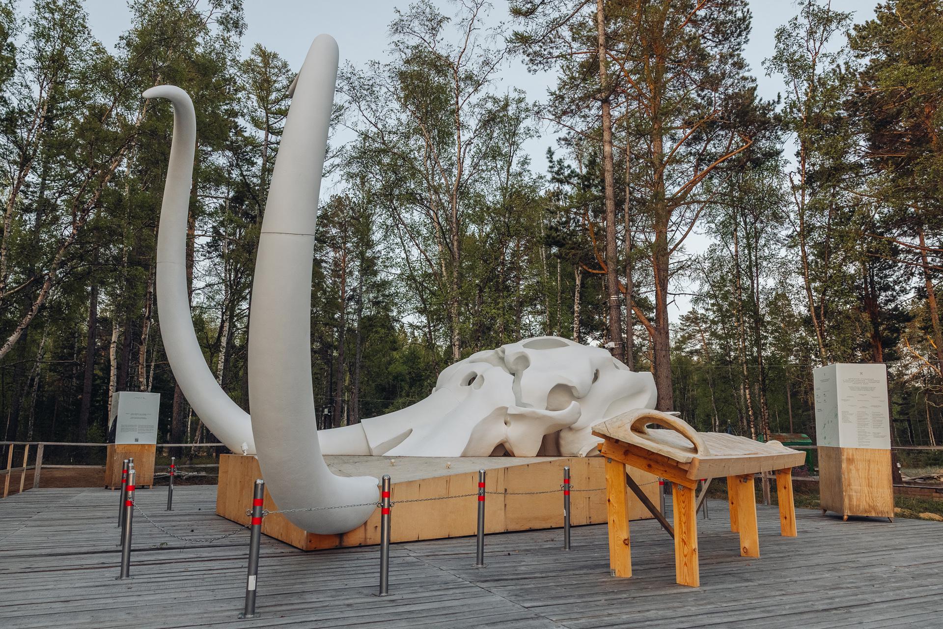 Территория отеля «Амар»