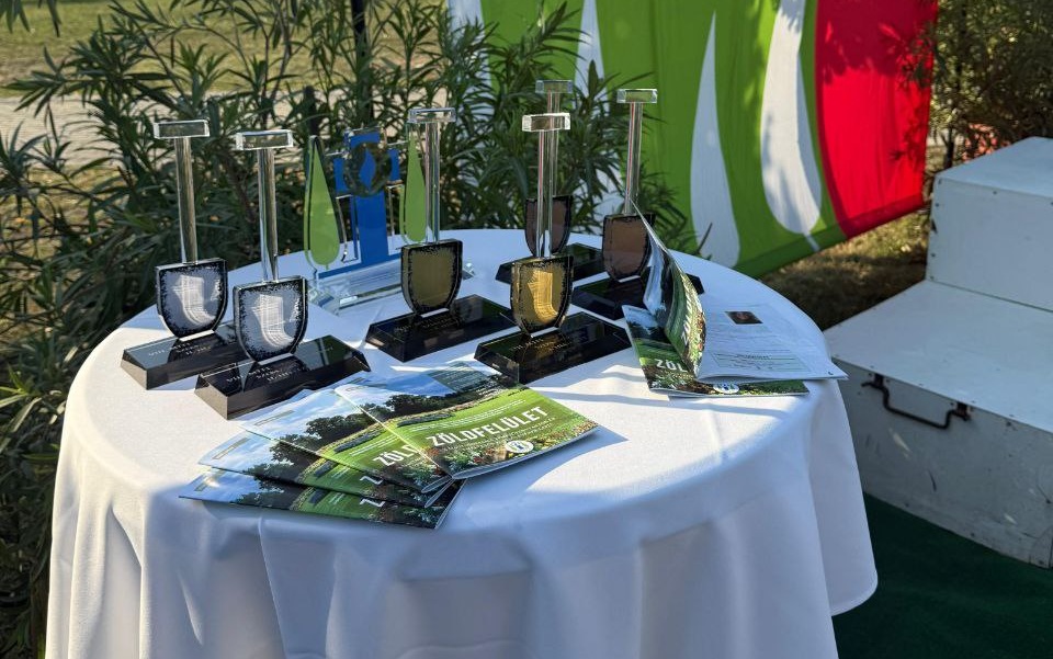 Главный приз - кубок в форме лопаты.