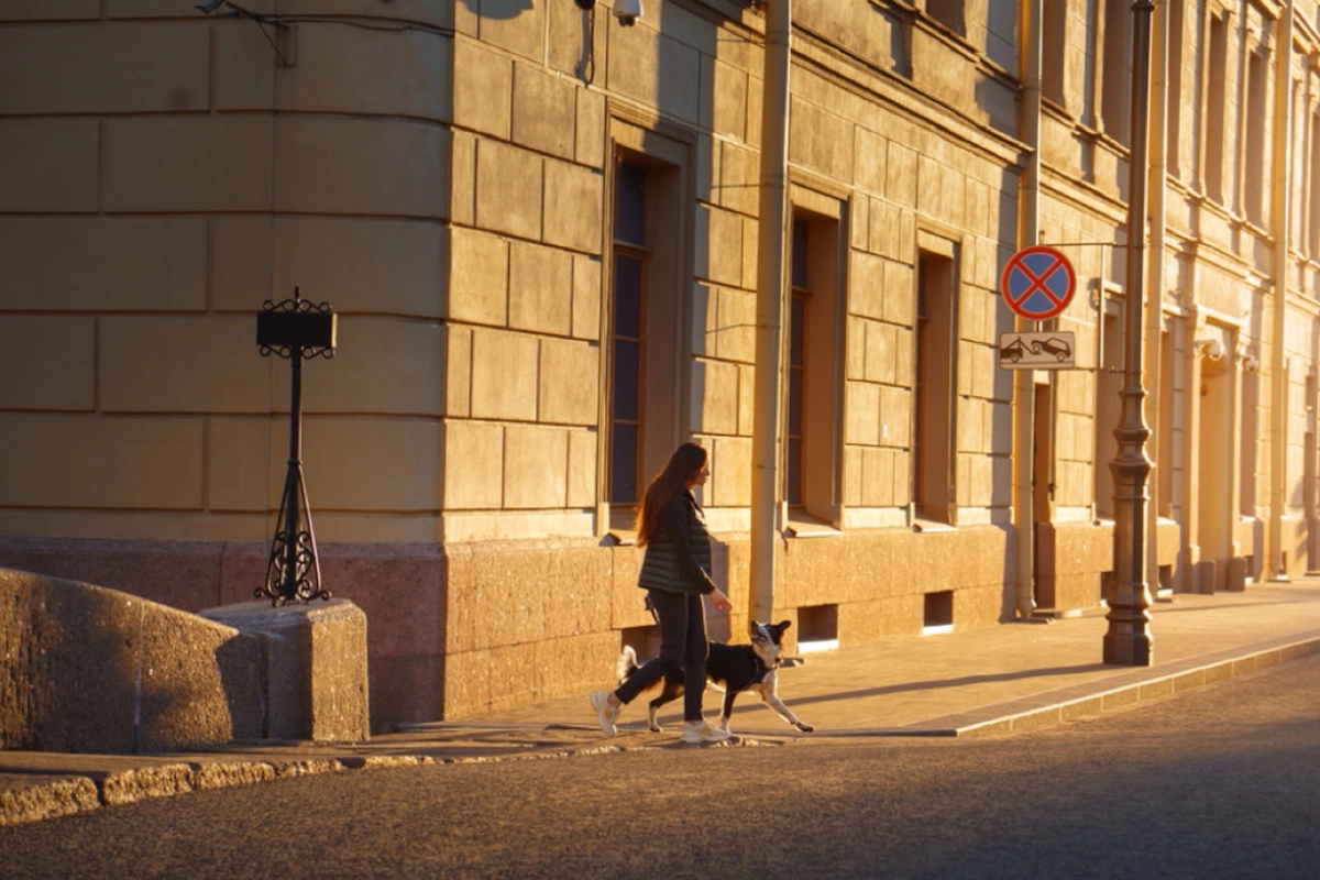 Закон Санкт-Петербурга не допускает бесконтрольное нахождение питомцев вне мест содержания