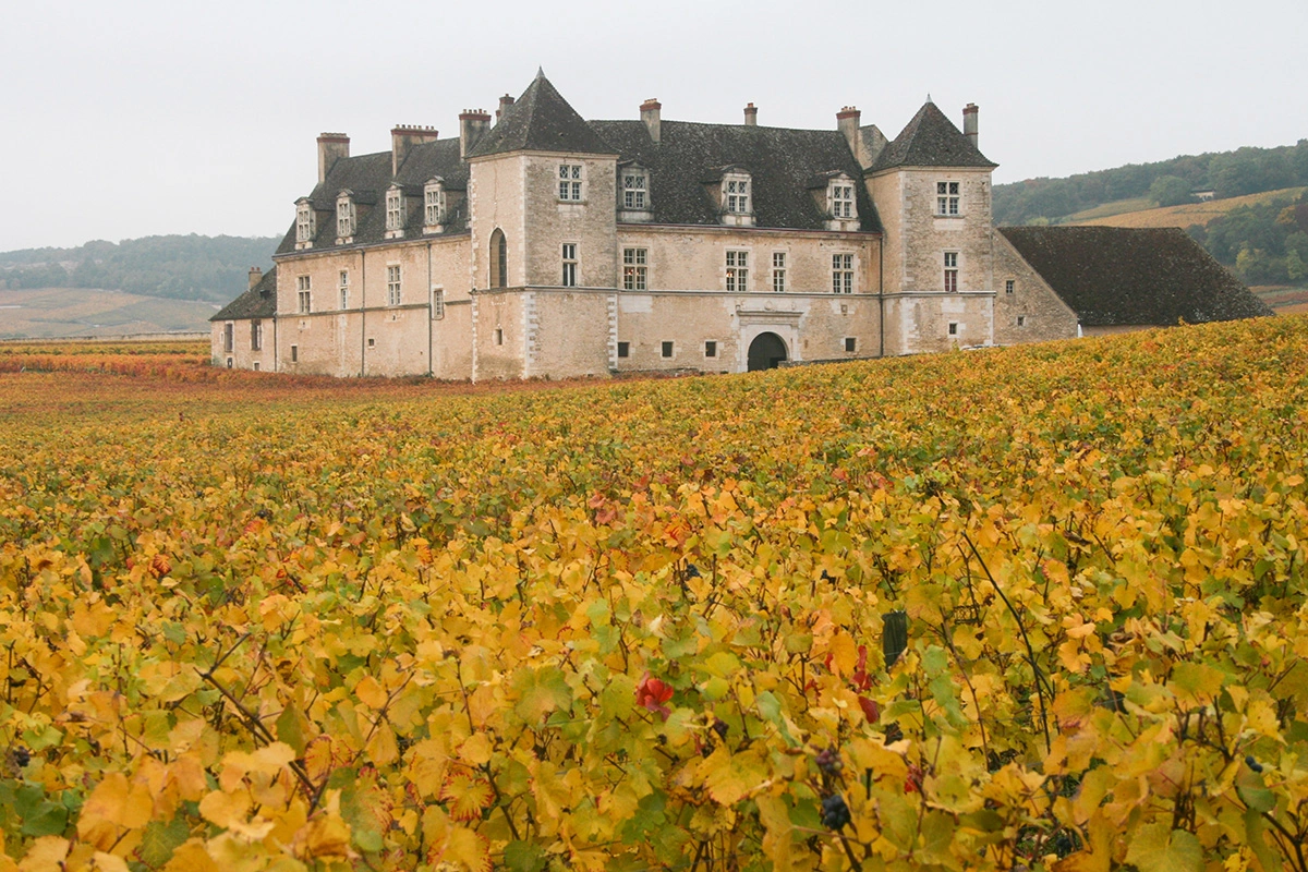 Замок Clos de Vougeot