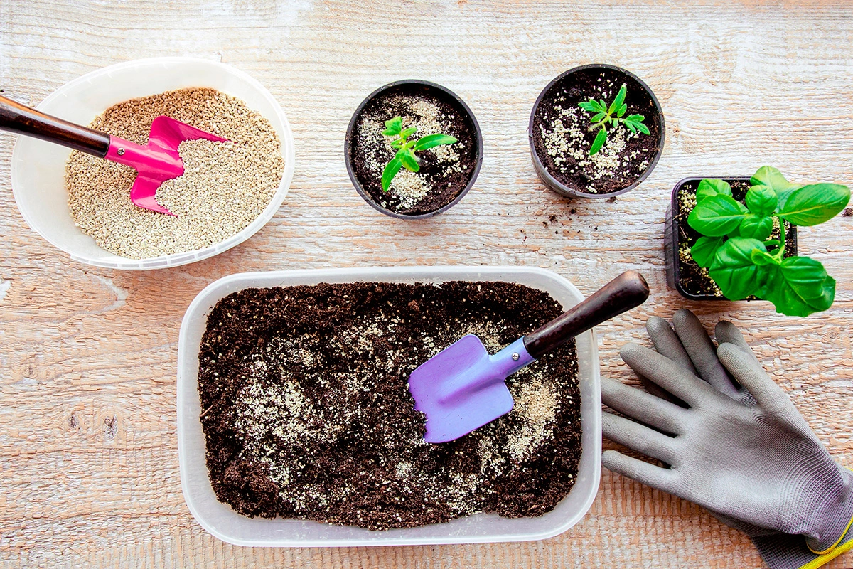 Вермикулит в сочетании с грунтом позволяет проращивать даже мелкие семена вроде петуний или моркови