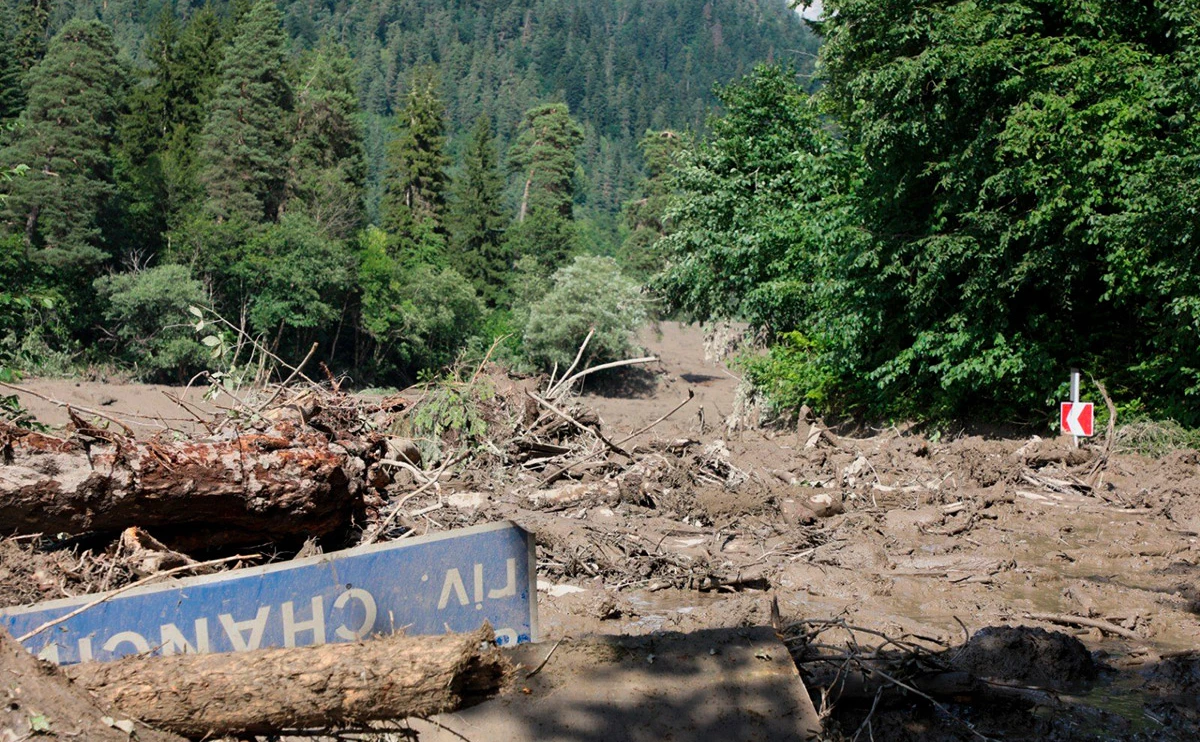 giorgigabri / Twitter