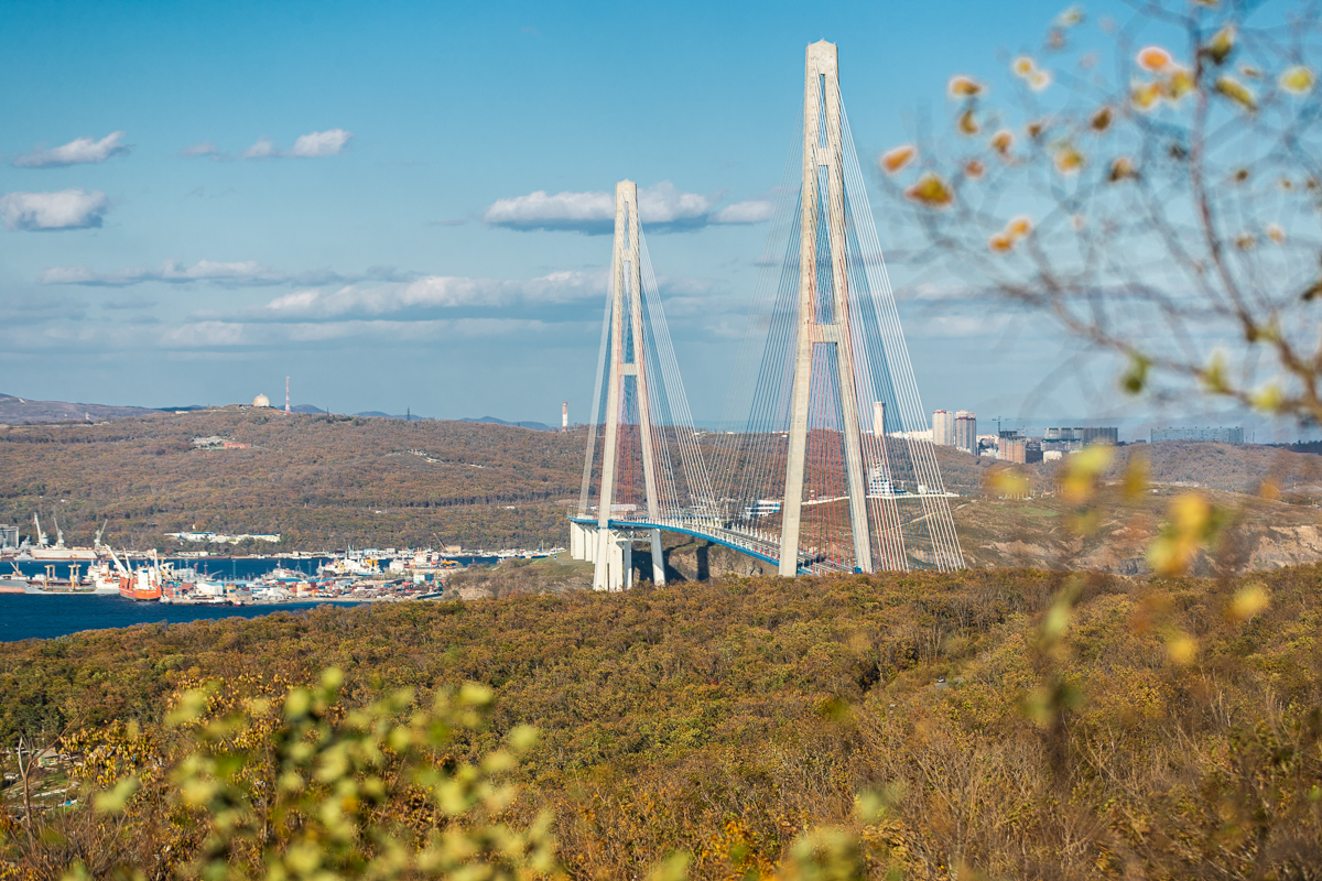 Первый в Приморье аквапарк начали строить на острове Русском — РБК