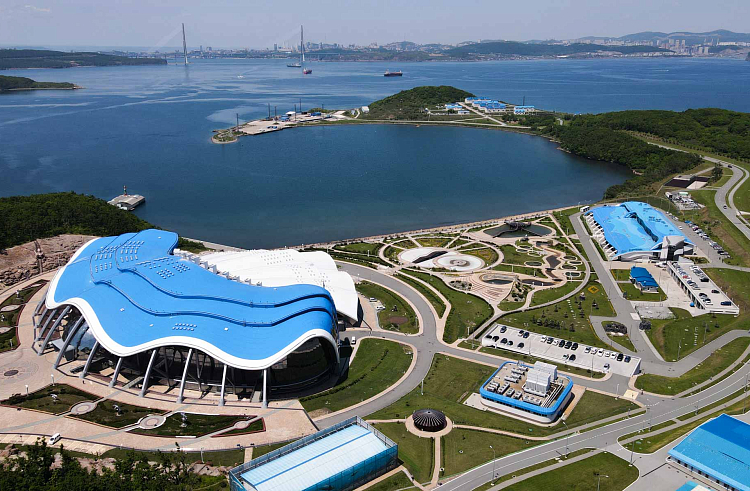 Правительство Приморского края