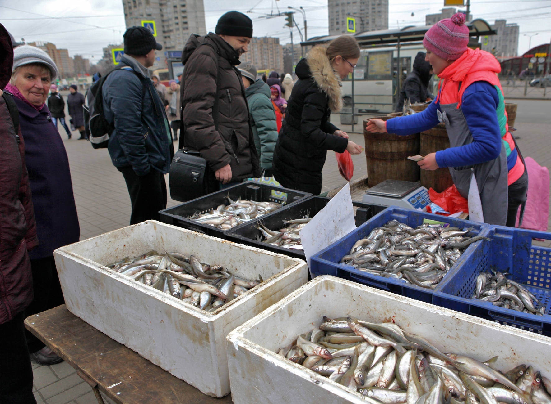Фото: Тимирханова Татьяна/PhotoXPress.ru