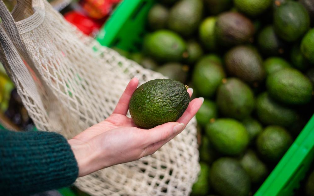 Фото: Shutterstock