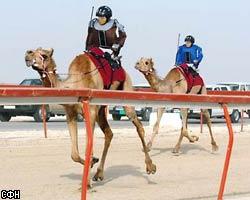 В ОАЭ верблюдами управляют роботы