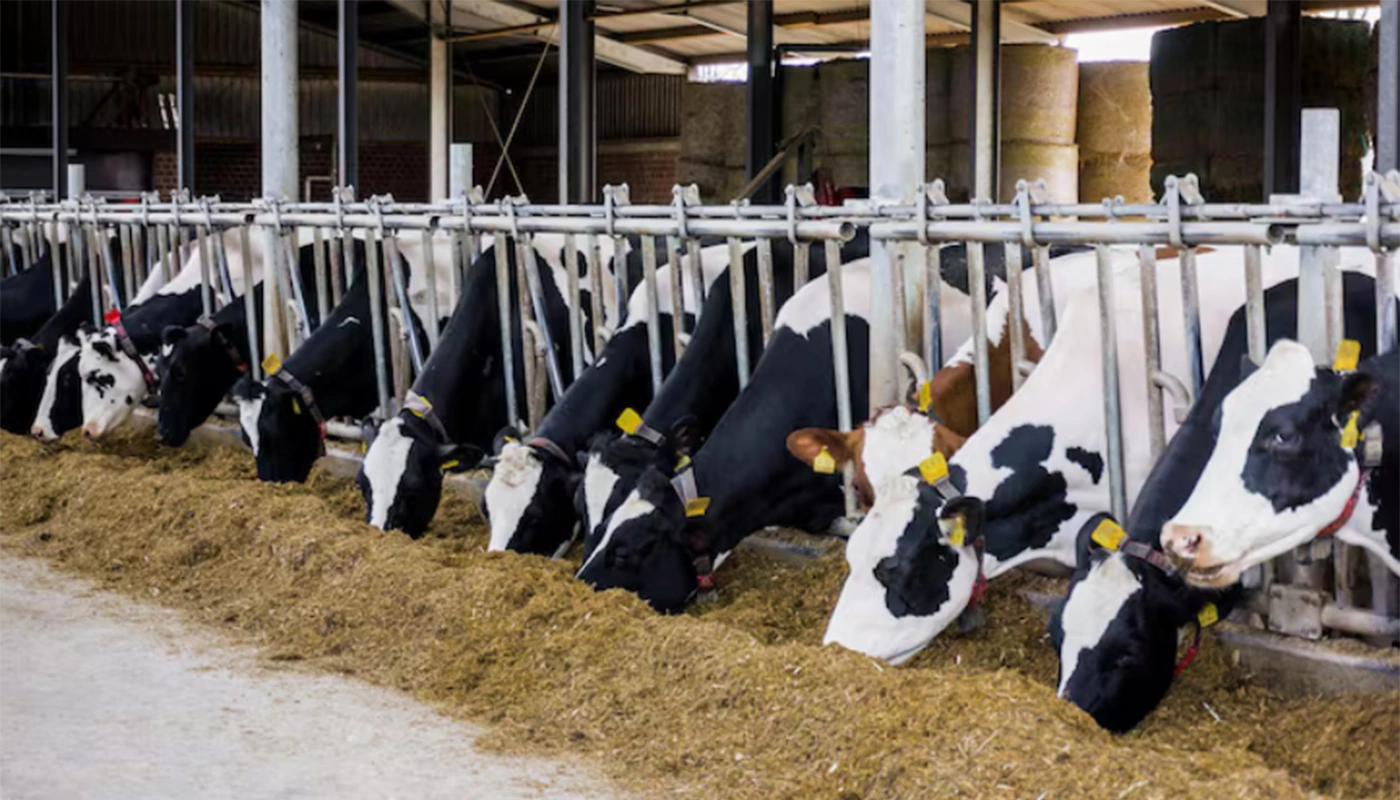 ru.freepik.com, ewastudio