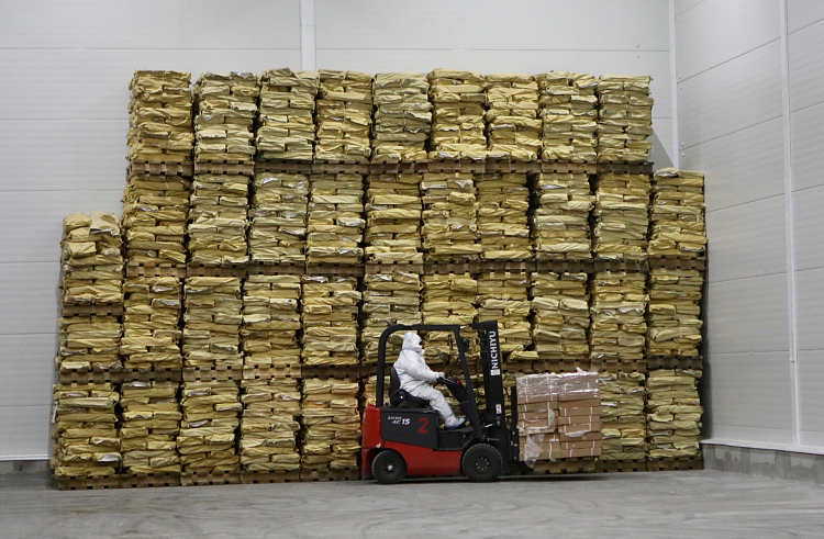 Правительство Приморского края