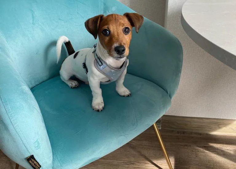 РБК Приморье