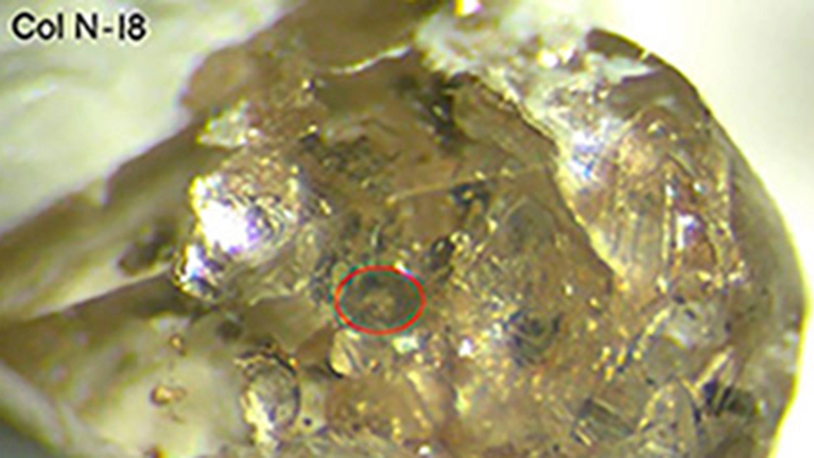 Алмазы возрастом 450–600 млн лет помогли изучить эволюцию Земли